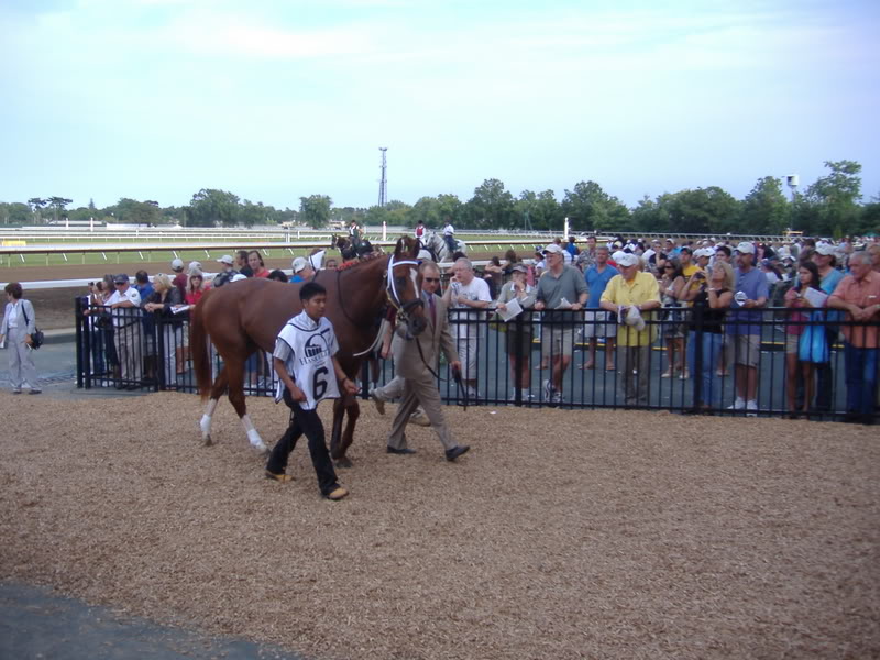 Curlin Before Haskell